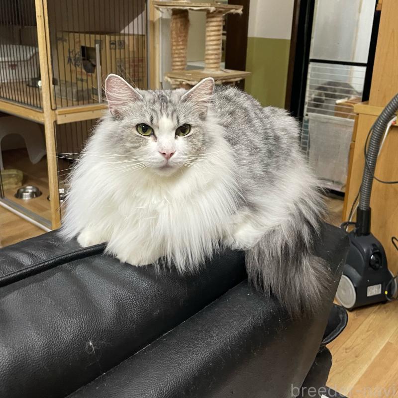 エレンちゃん1枚目